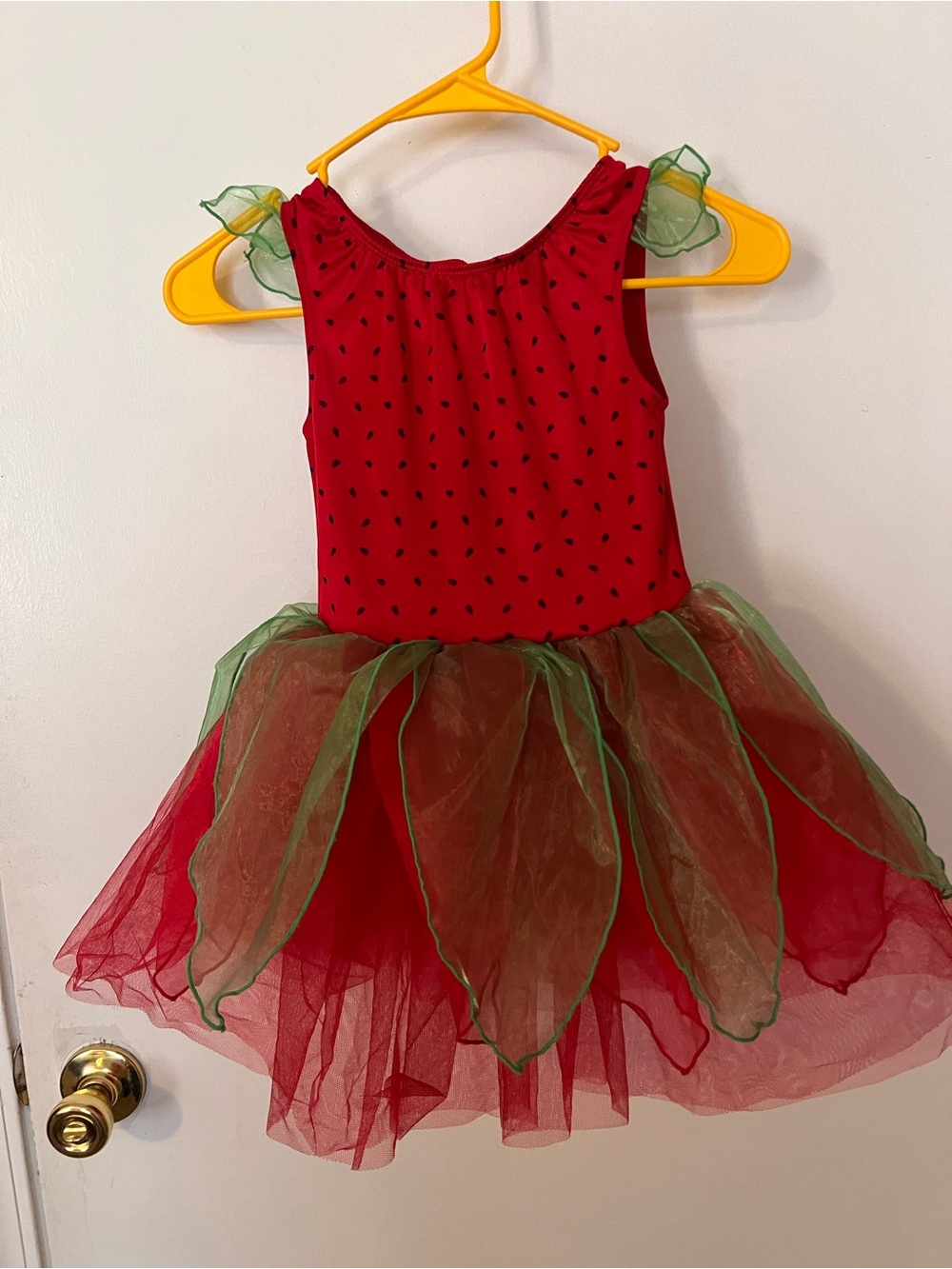 Gymboree Red and Green Strawberry Tutu Dress